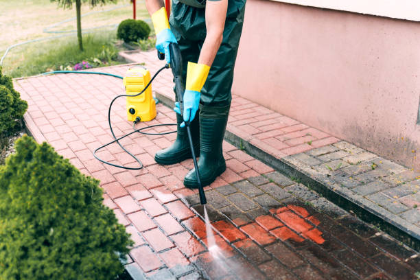 Best House Exterior Washing  in Ronceverte, WV