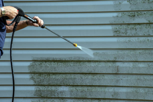 Best Graffiti Removal  in Ronceverte, WV
